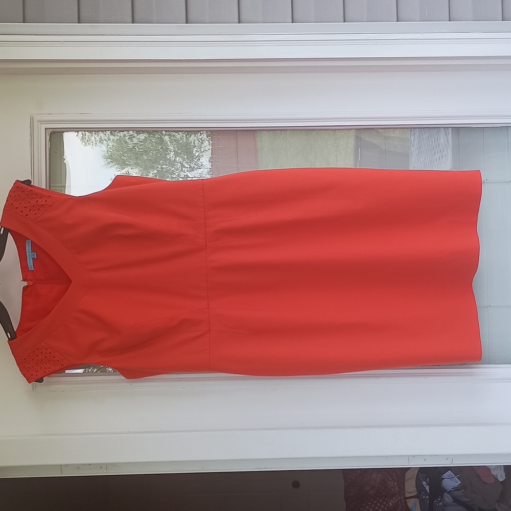 Antonio Melani dress